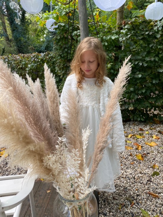 2c0e9215 7ea4 492c aef6 2e4e8e9496ef