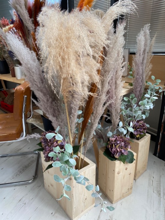 2cfd2aaa c669 451c b237 74055d5b2a0b