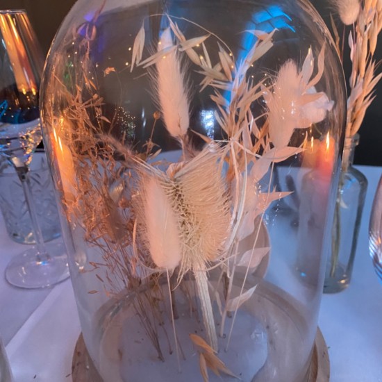 32e135af e359 4b80 85bb a86087a2cf22